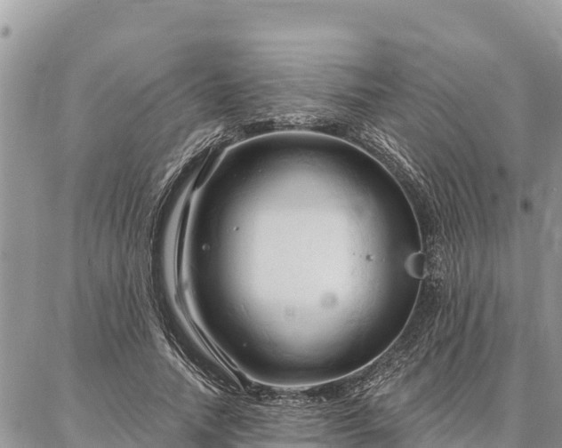 X0000086900738200704231152