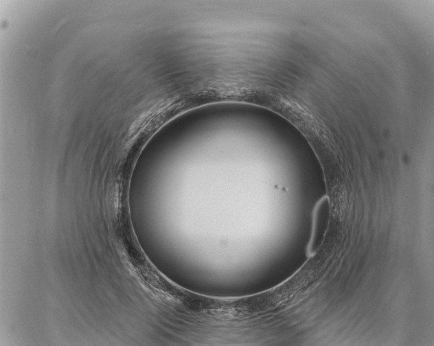 X0000086900740200704231153