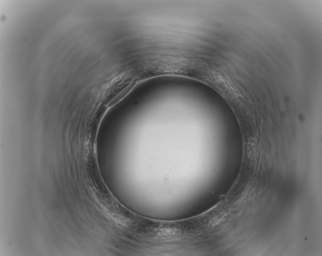 X0000086900741200704231153