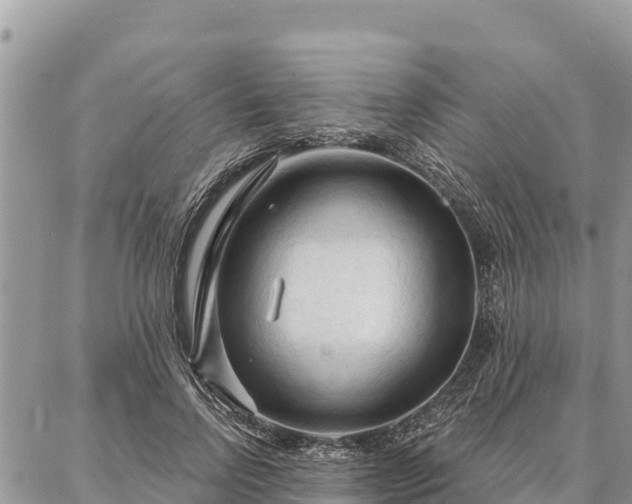 X0000086900742200704231153