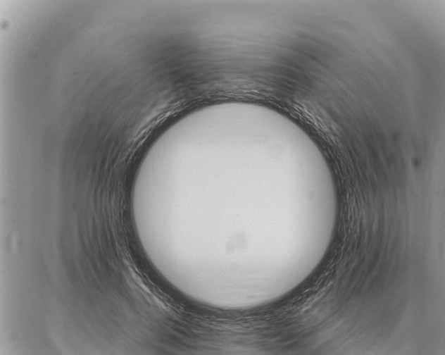 X0000086900744200704231153