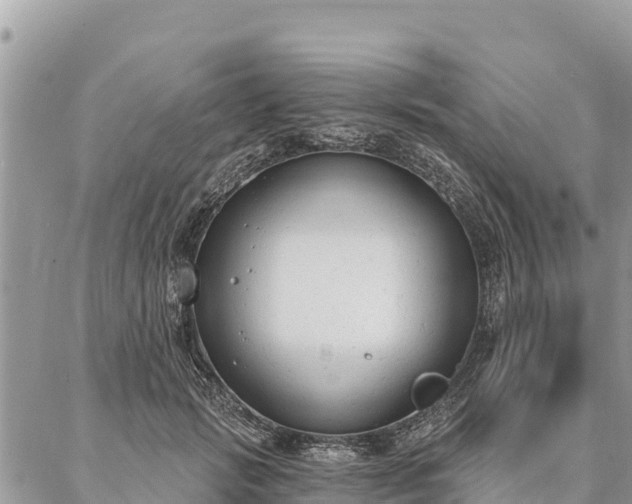 X0000086900749200704231153