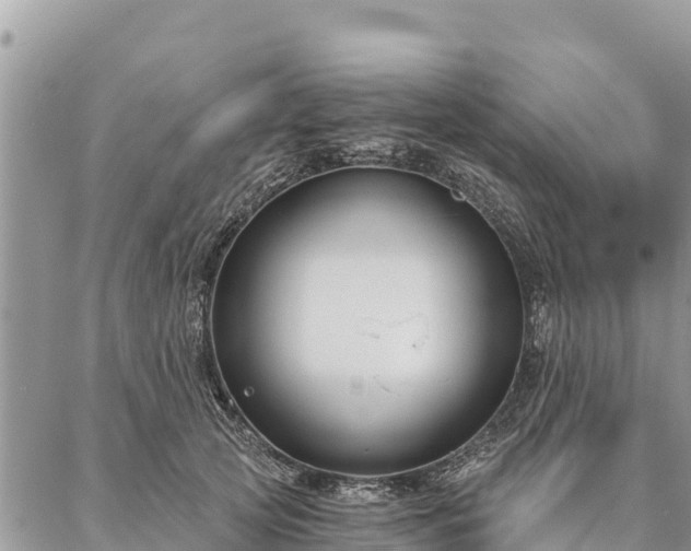 X0000086900753200704231153