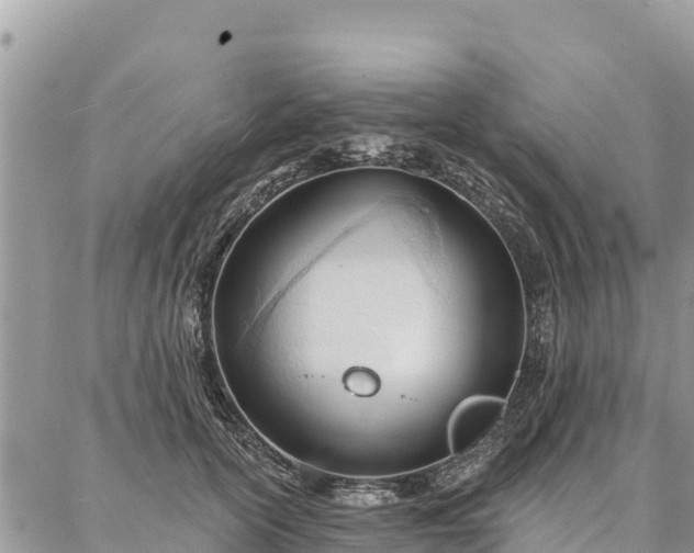 X0000086900754200704231153