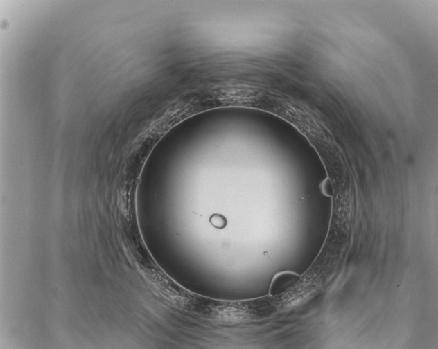 X0000086900755200704231153