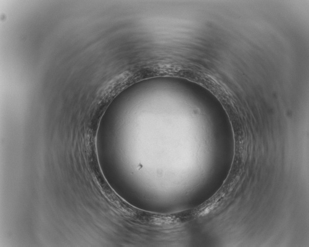 X0000086900757200704231153