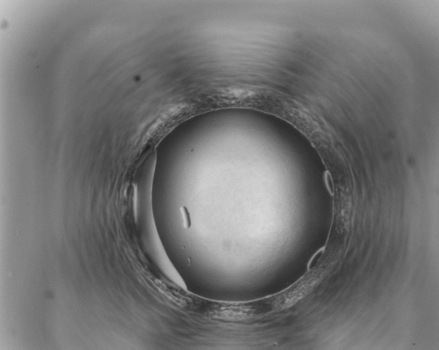 X0000086900758200704231153