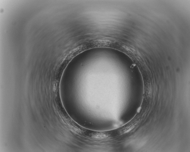 X0000086900759200704231153