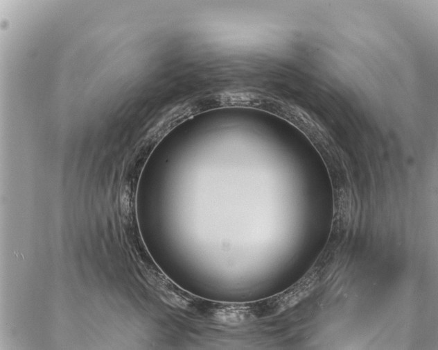 X0000086900761200704231153