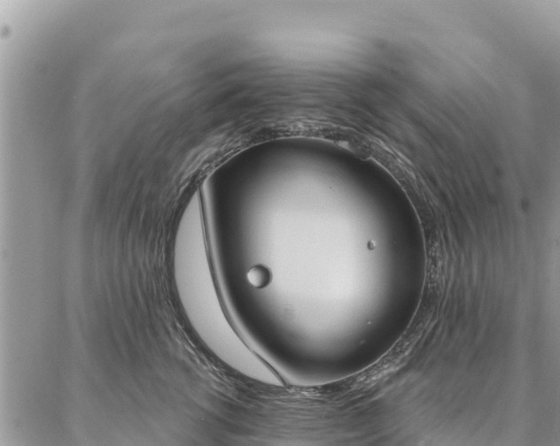 X0000086900762200704231153