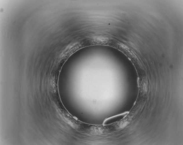 X0000086900764200704231153