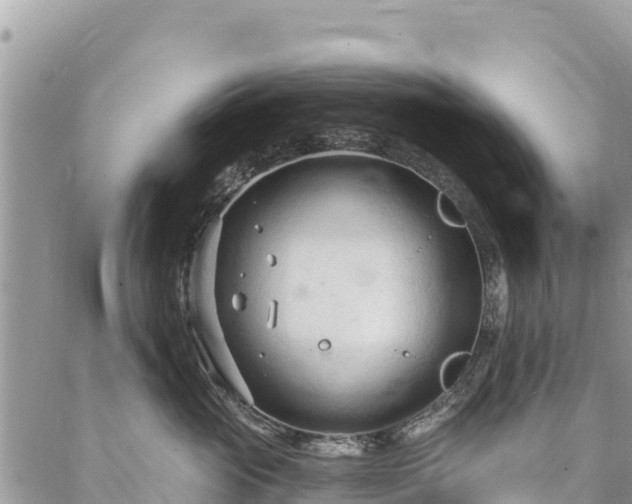 X0000086900765200704231153