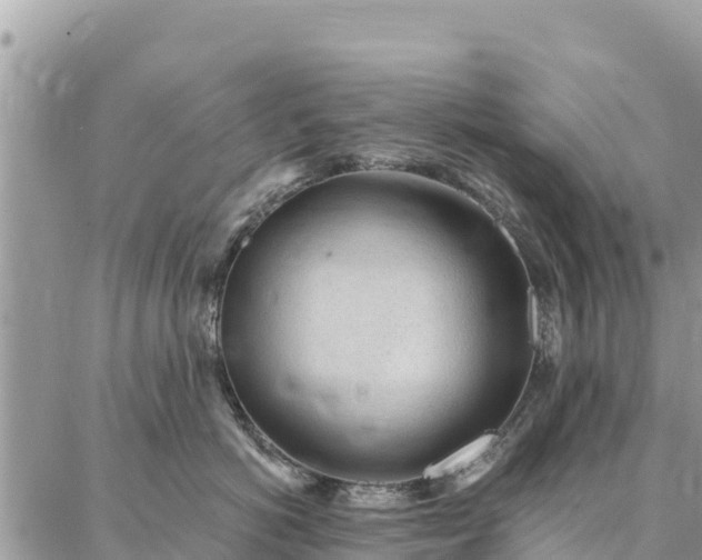 X0000086900766200704231153