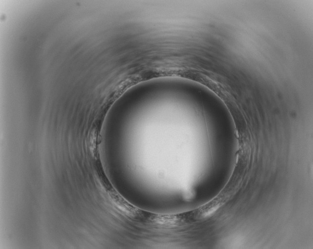 X0000086900767200704231153