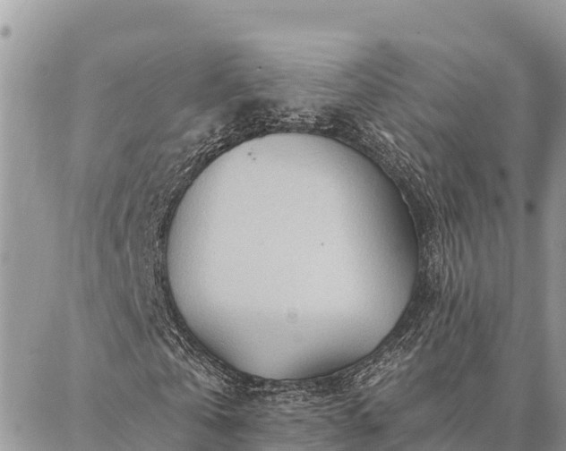 X0000086900769200704231152