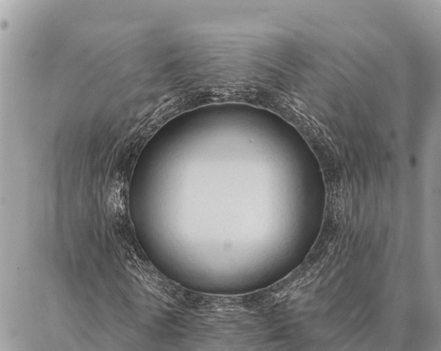 X0000086900770200704231152