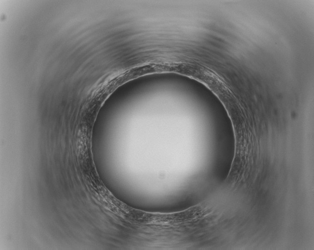 X0000086900773200704231152