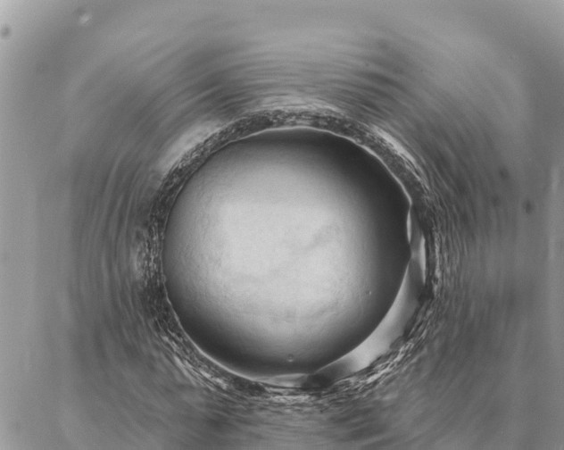 X0000086900775200704231152