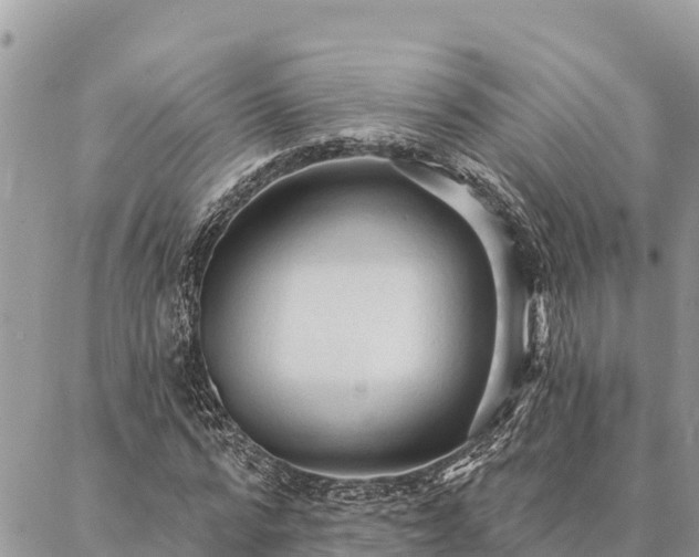 X0000086900776200704231152