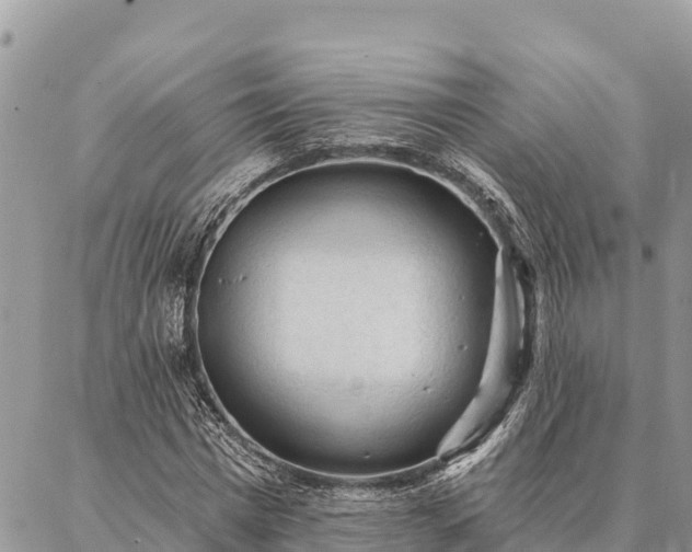 X0000086900777200704231152