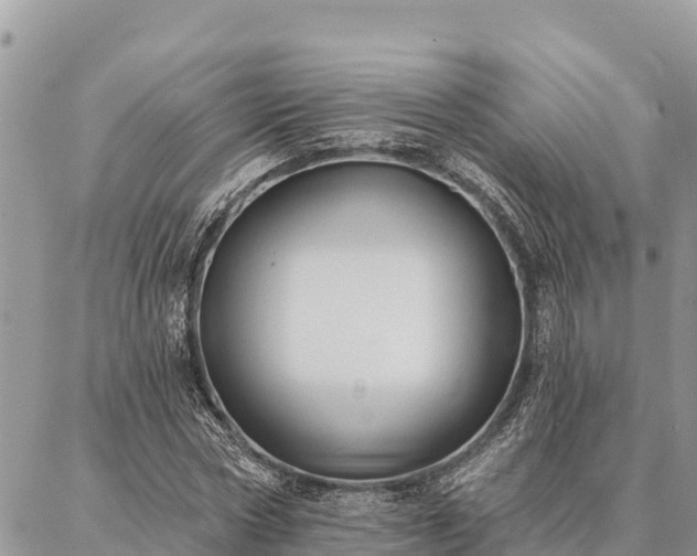 X0000086900778200704231152