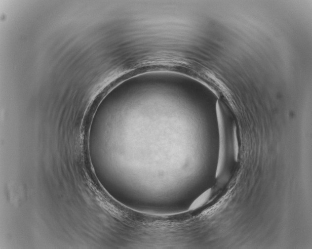 X0000086900779200704231152