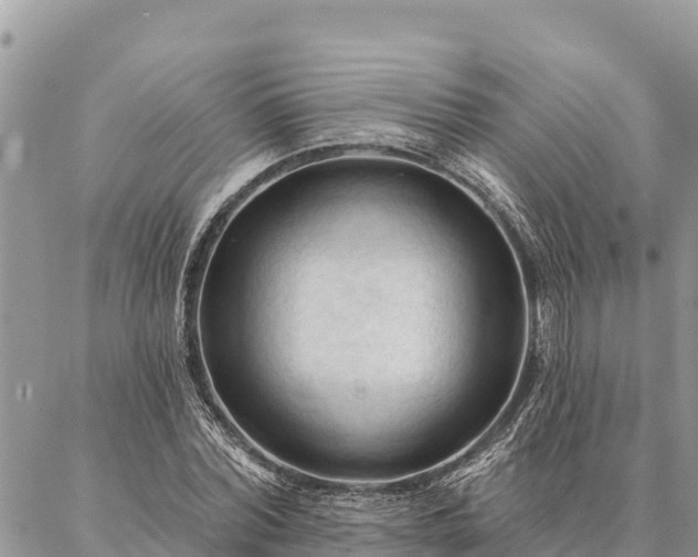 X0000086900780200704231152