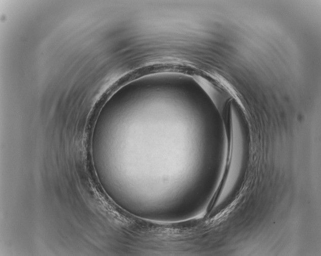 X0000086900783200704231152