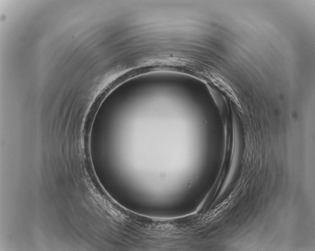 X0000086900784200704231152