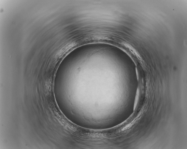 X0000086900785200704231152