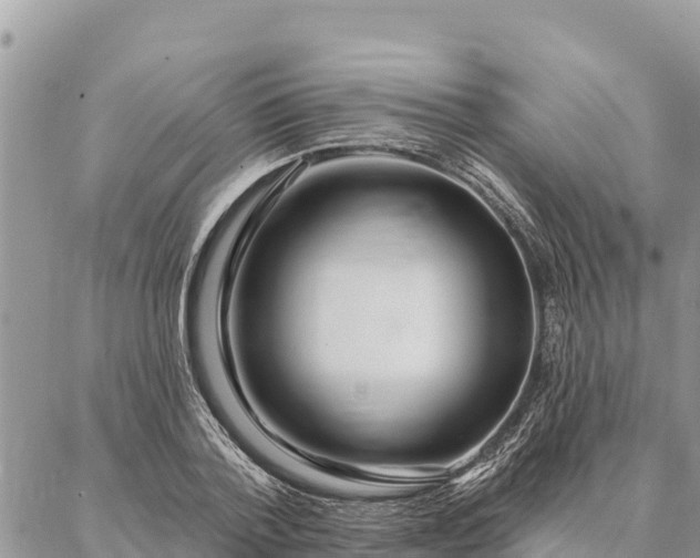 X0000086900788200704231152