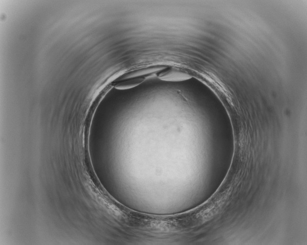 X0000086900790200704231152