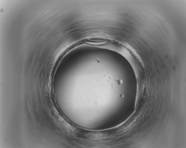 X0000086900791200704231152