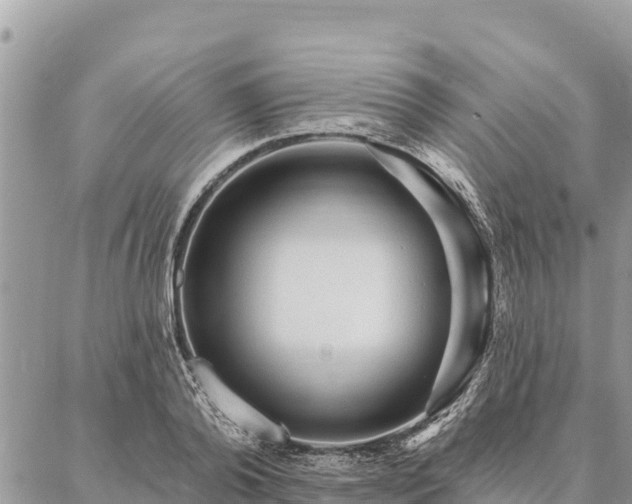 X0000086900792200704231152