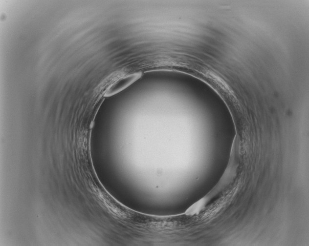 X0000086900793200704231152