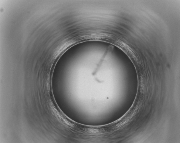 X0000086900794200704231152