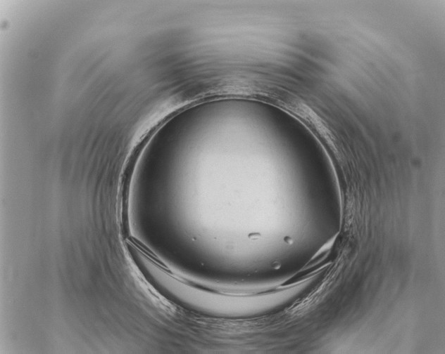 X0000086900795200704231152