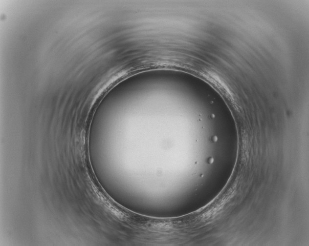 X0000086900798200704231152