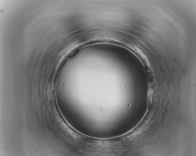 X0000086900799200704231152