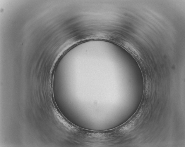 X0000086900800200704231152