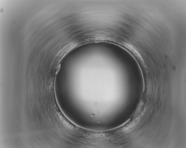 X0000086900801200704231152