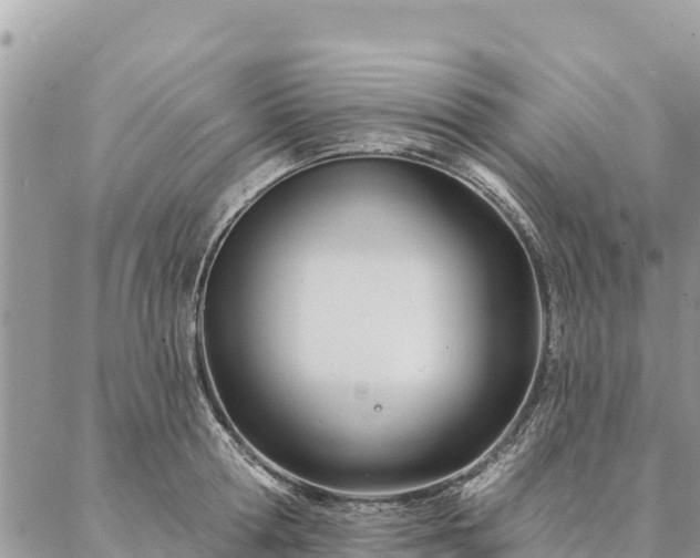 X0000086900802200704231152