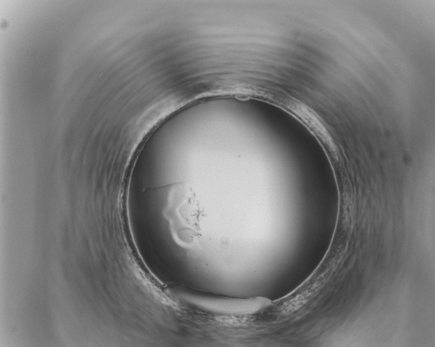 X0000086900805200704231152