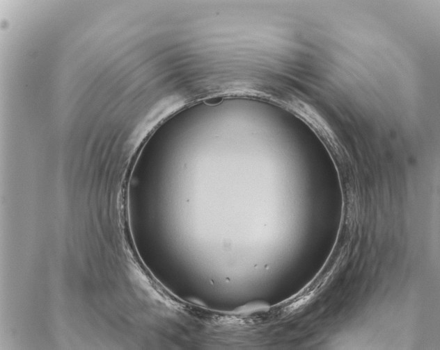 X0000086900806200704231152