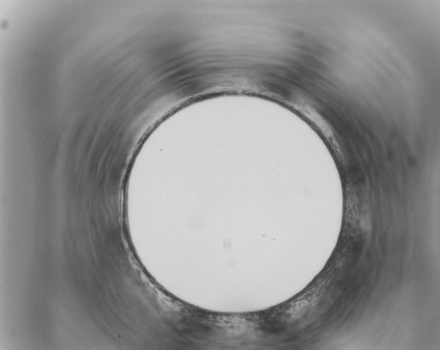 X0000086900807200704231152