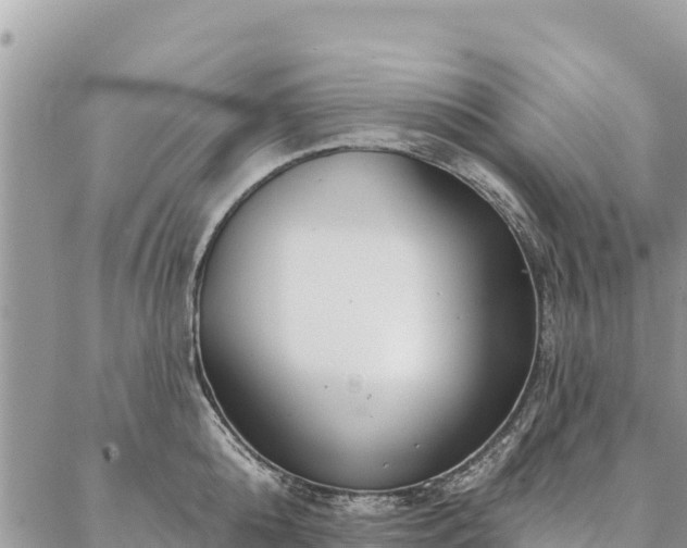 X0000086900808200704231152