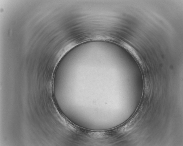 X0000086900810200704231152