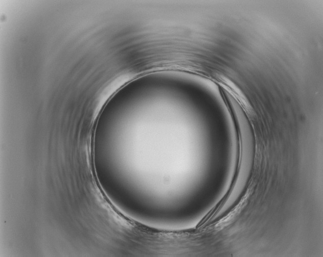 X0000086900812200704231151