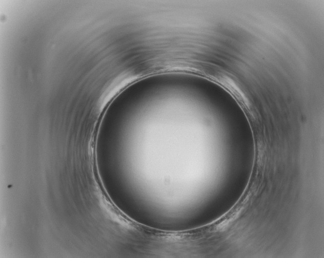 X0000086900814200704231151