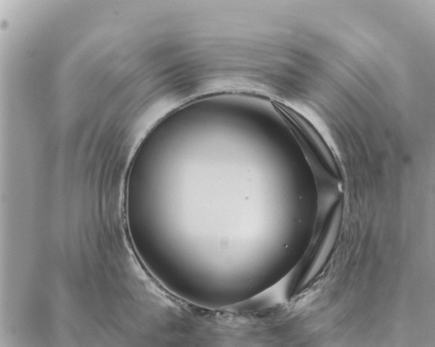 X0000086900815200704231151